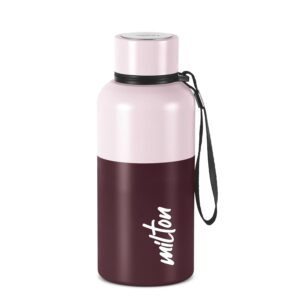 Milton Ancy 500 Thermosteel Water Bottle, 520 ml, Brown | 24 Hours Hot and Cold | Easy to Carry | Rust Proof | Tea | Coffee | Office| Gym | Home | Kitchen | Hiking | Trekking | Travel Bottle